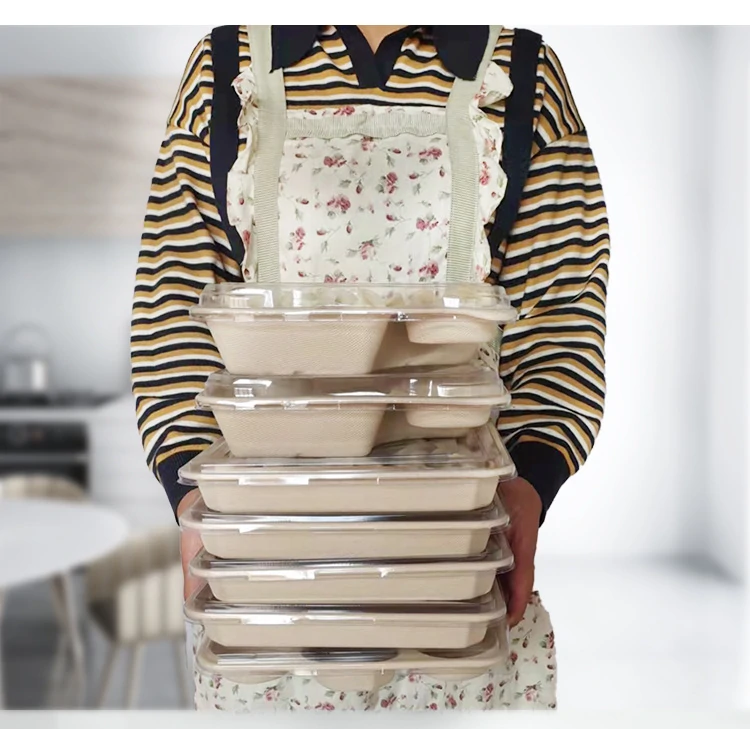 Biodegradable Deep Tableware Bagasse School & Adult Lunch Food Plates 11 Compartments Disposable Paper Sugarcane Tray With Lids