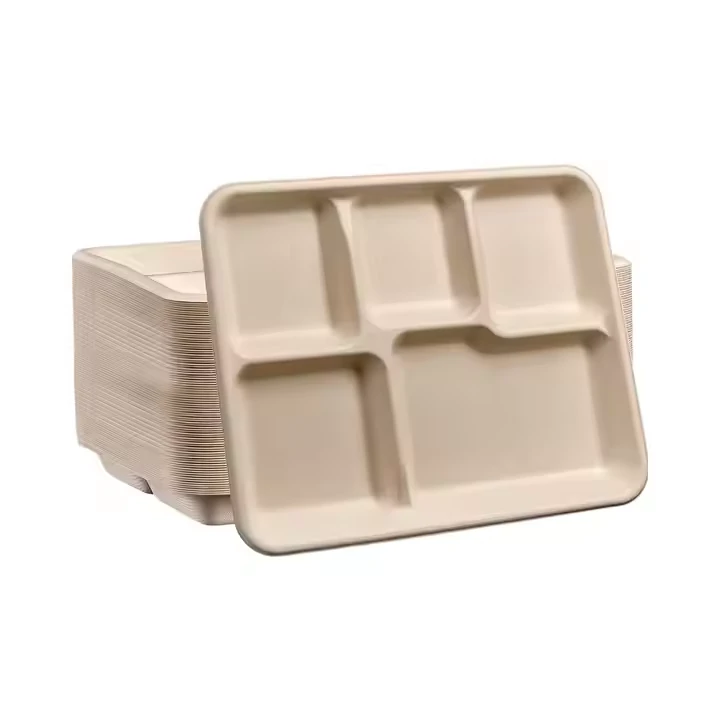 100% Compostable 10 Inch Square Bagasse Disposable Plates 5 Compartment Eco-Friendly Sugarcane Trays Brown Camping Parties