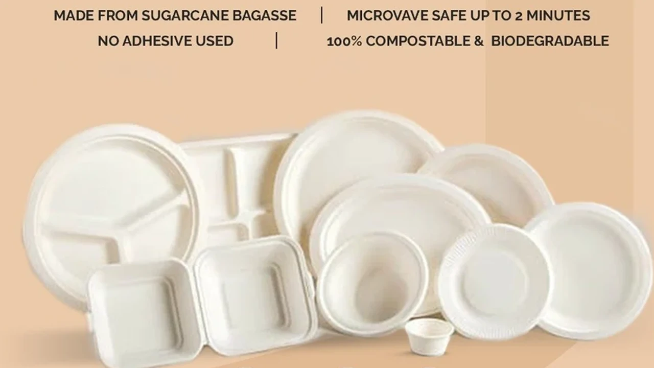  New Sugarcane Fiber Eco - Containers Unveiled! Redefine Sustainable Dining
