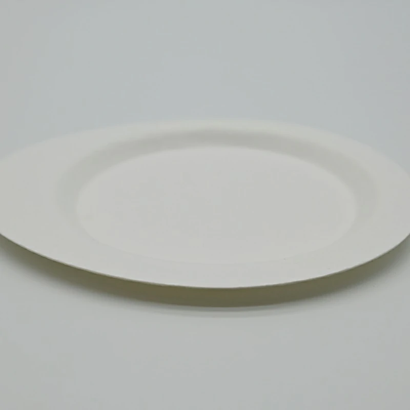 COMPOSTABLE SUGARCANE BAGASSE OVAL PLATES for EMBRACE SUSTAINABILITY