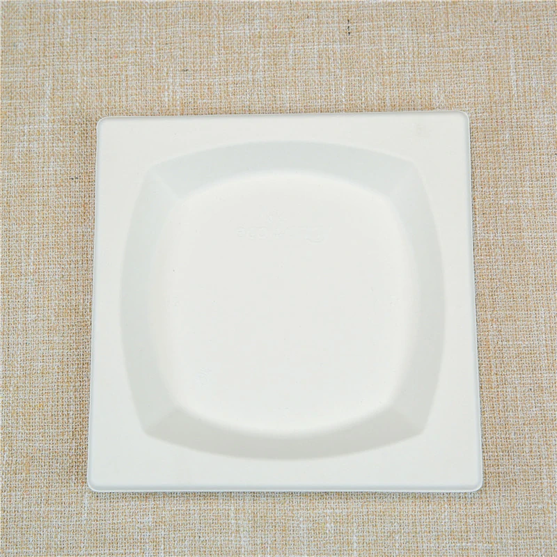 8.5 INCH/10 INCH SUGARCANE BAGASSE SQUARE PLATE | BIODEGRADABLE TRAY