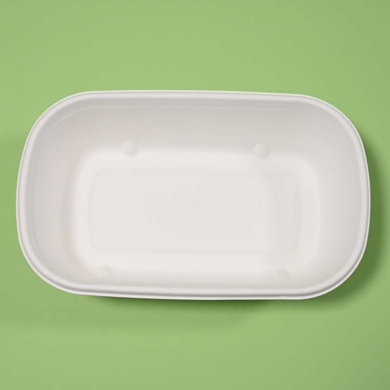 Disposable Rectangle Bowl Biodegradable and Environment-Friendly Made of Bagasse with Lid Included