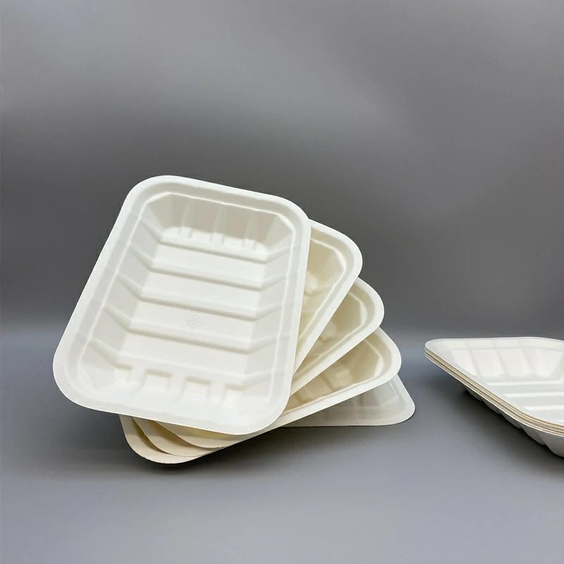7 INCH ECO FRIENDLY DISPOSABLE SUGAR CANE FOOD TRAY