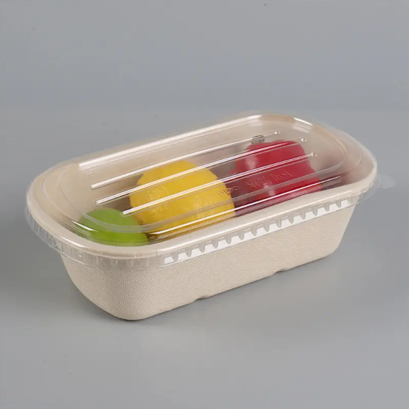 750ML BAGASSE TRAY | SUGARCANE RECTANGLE FOOD CONTAINER