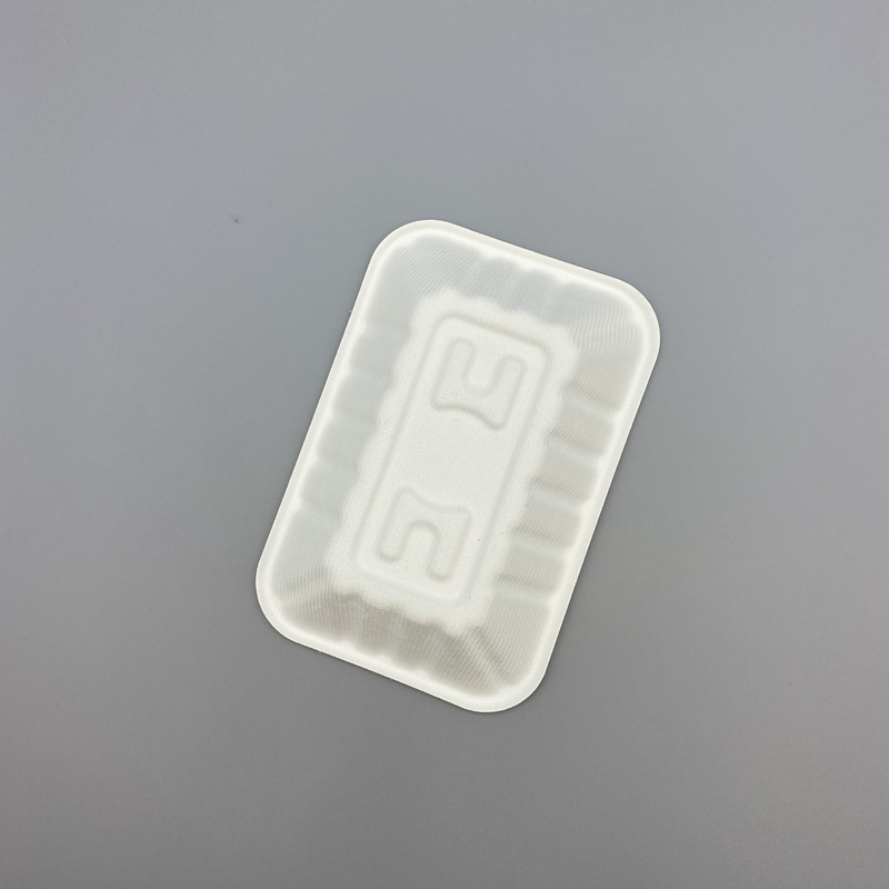 BGASSE PULP BIO PACKAGING L ECOFRIENDLY FOOD and MEAL TRAY