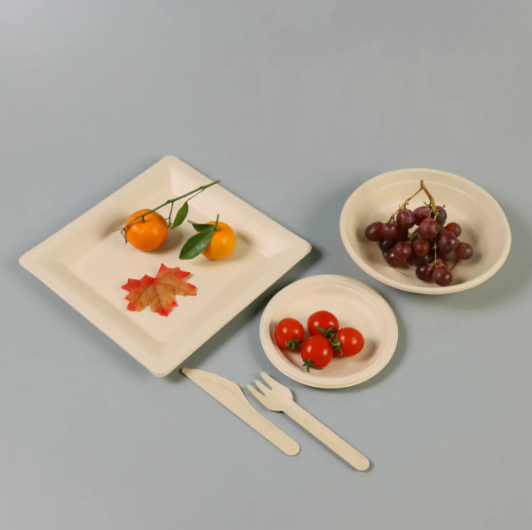 10＂ Biodegradable Bagasse Square Plates Disposable Eco-Friendly Tableware for Camping Events Parties