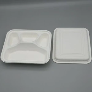 BIO COMPOSTABLE SUGARCANE BAGASSE 4 COMPARTMENTS LUNCH BOX for CHILD