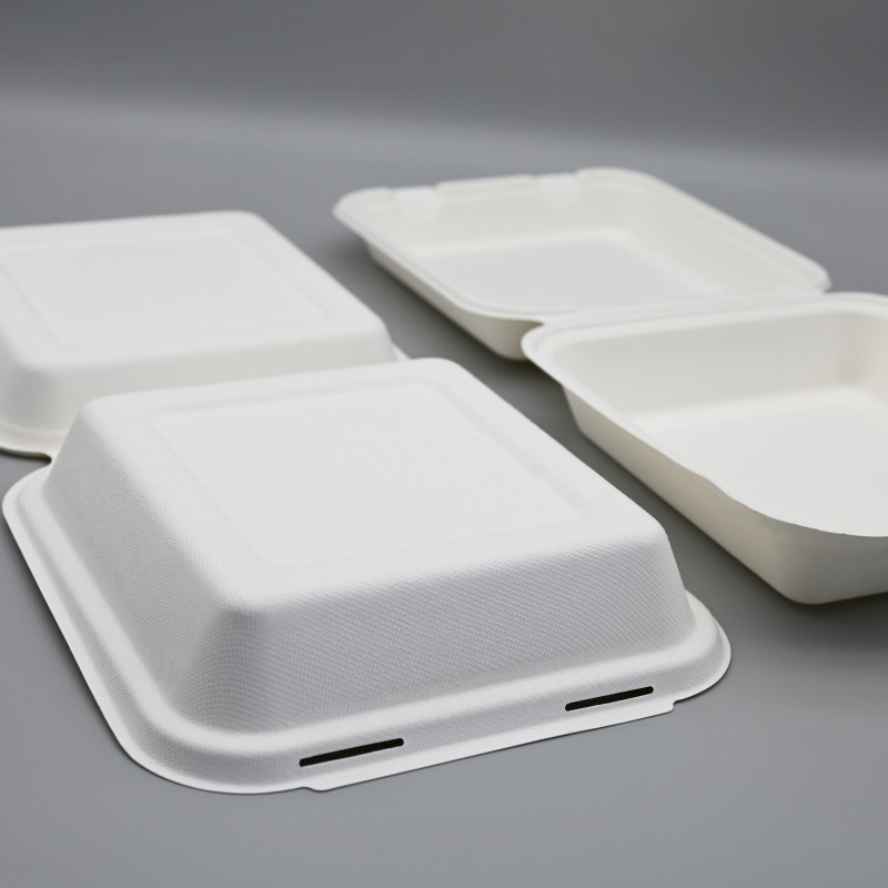 8.5INCH SINGLE BAGASSE CLAMSHELL BOX FOOD CONTAINER SUPPLIER