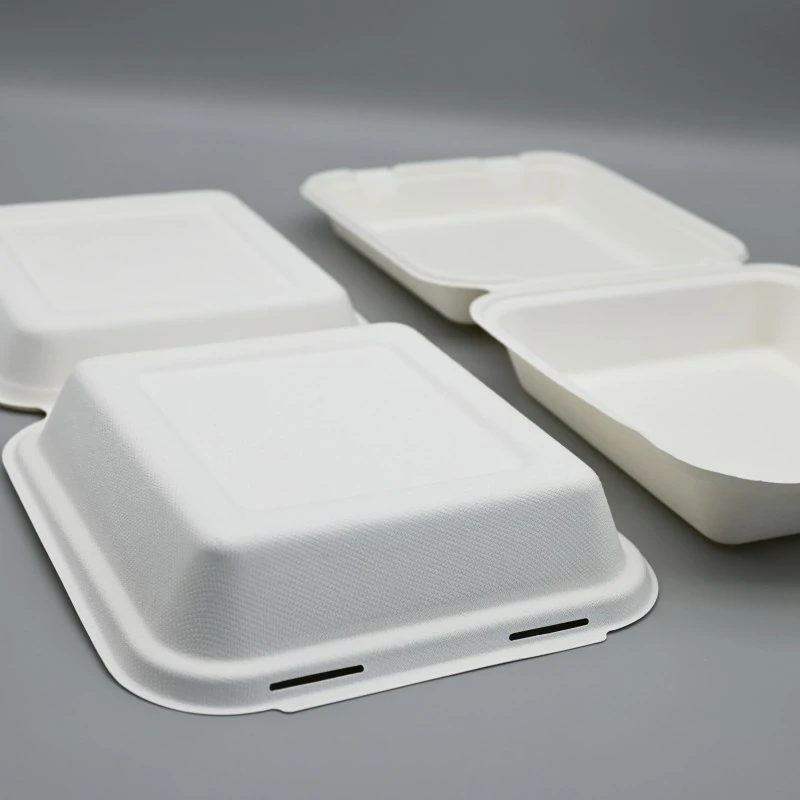 8.5INCH SINGLE BAGASSE CLAMSHELL BOX FOOD CONTAINER SUPPLIER