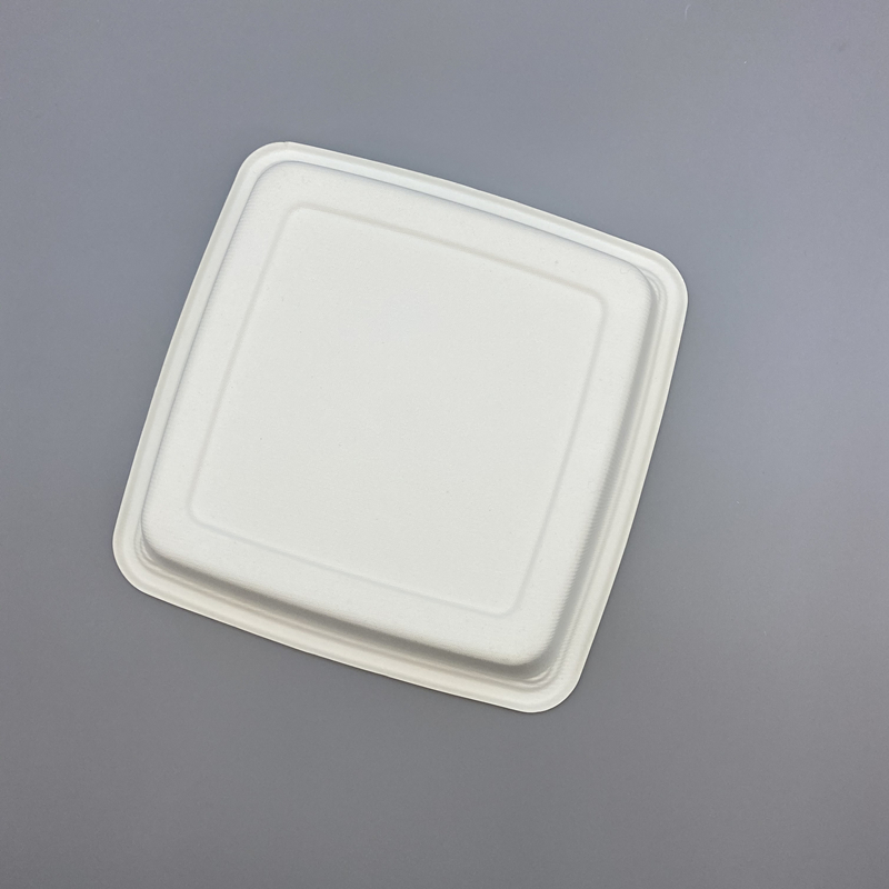 9＂ X 9＂ Biodegradable Disposable Sugarcane/Bagasse Bowls with Lid for Takeaway