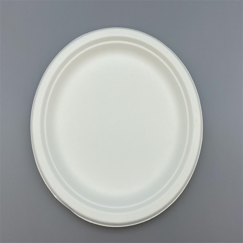 Sugarcane Bagasse Compostable 9＂ Disposable Round Plates for Party Food Serving Dinnerware