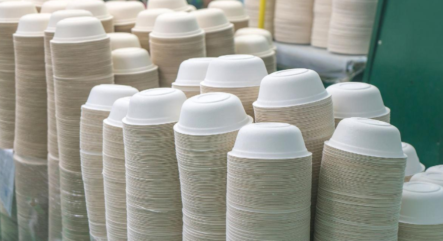 The Green Wave: Why Biodegradable Plates Are Taking the World