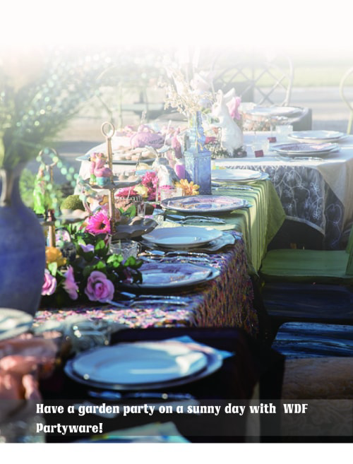 tableware in party