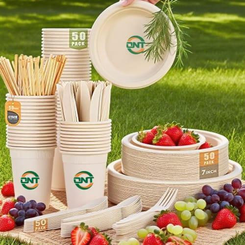 Exporting Bagasse Tableware: Market Trends, Certification Requirements, and High-Demand Regions