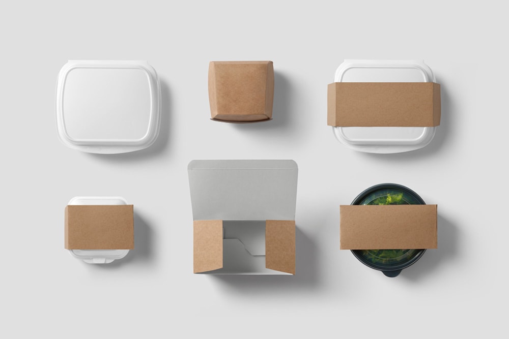 disposable lunch box