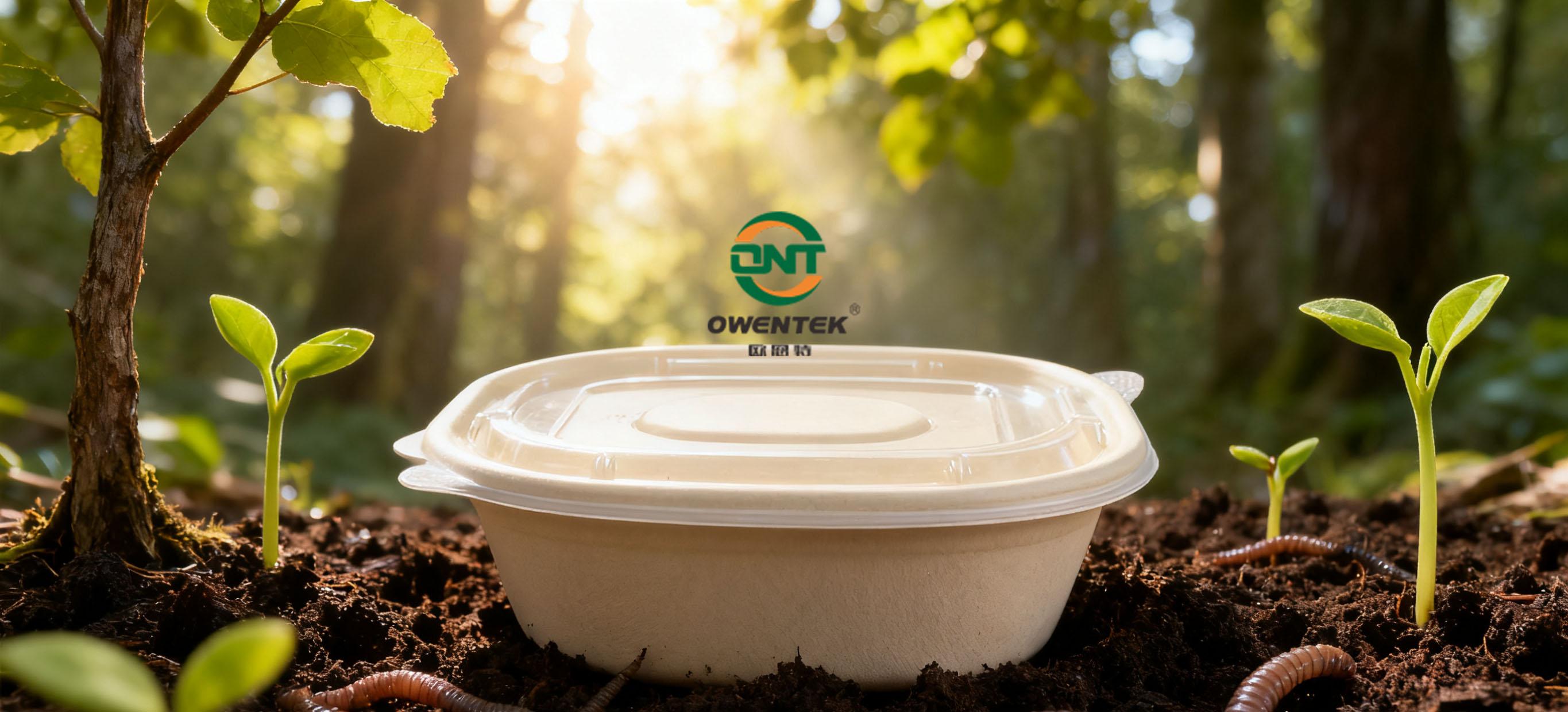 Biodegradable Disposable Tableware Market Booms: Set to Hit $