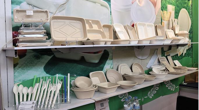 Owentek Hot-Selling Sugarcane Bagasse Eco Containers – Fact